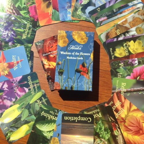 Wisdom of the Flowers Medicine Card Deck