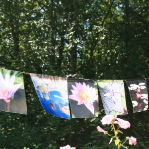 Lotus Prayer Flags