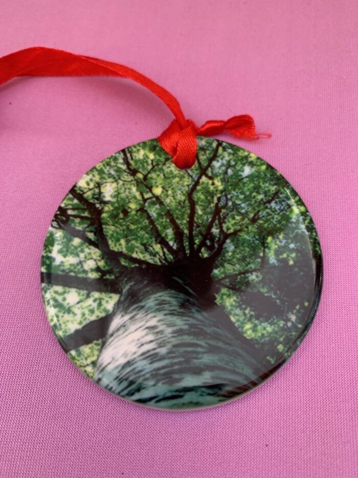 Birch Tree Ornament~SOLD OUT