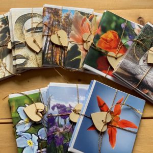 Card Packs- Assorted