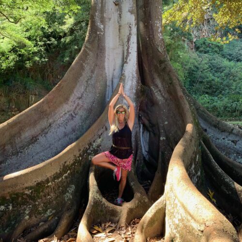 Yoga with Mandy- class 3/23/20