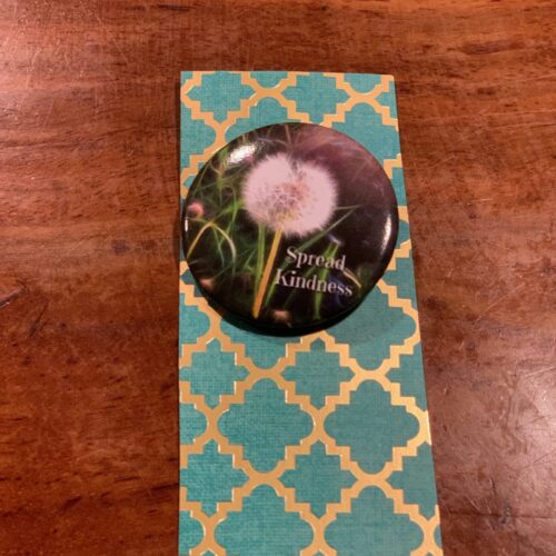 Spread Kindness Pin