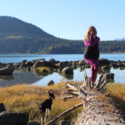 Yoga with Mandy, Haines, Alaska ~5/1/20~Embody Joy with Garuda Flow