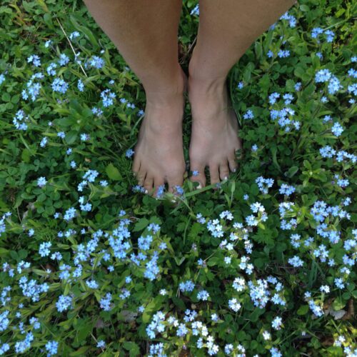 Yoga with Mandy, Haines, Alaska - 5/18/20~ Tend to the Soil of your Body, Heart & Mind