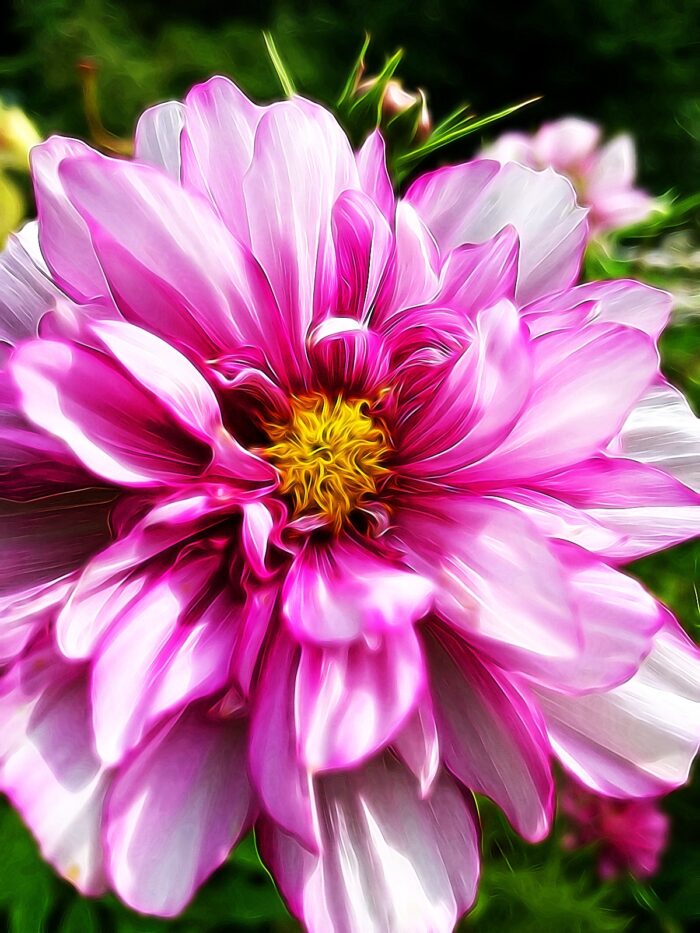 Yoga w/Mandy, Haines, Alaska ~ 6/19/20~Celebrate Summer Solstice w/ variations of Surya Namaskar from the garden