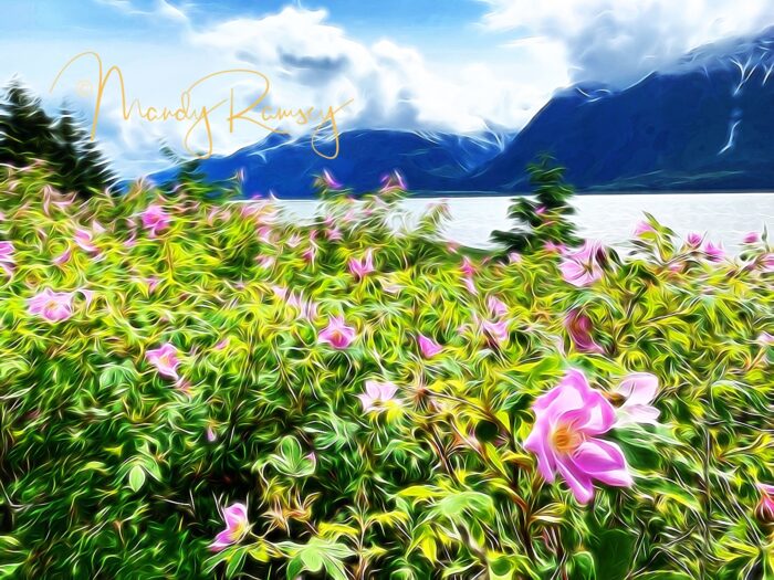 Yoga w/Mandy, Haines, Alaska ~ 6/8/20~Samana Vayu Warrior Flow