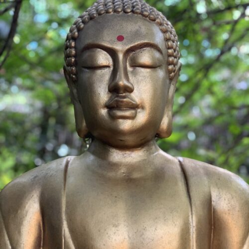 Yoga w/Mandy, Haines, Alaska ~ 6/22/20~ Live from the Garden~ Breathe in Calm, Breathe out Relaxation