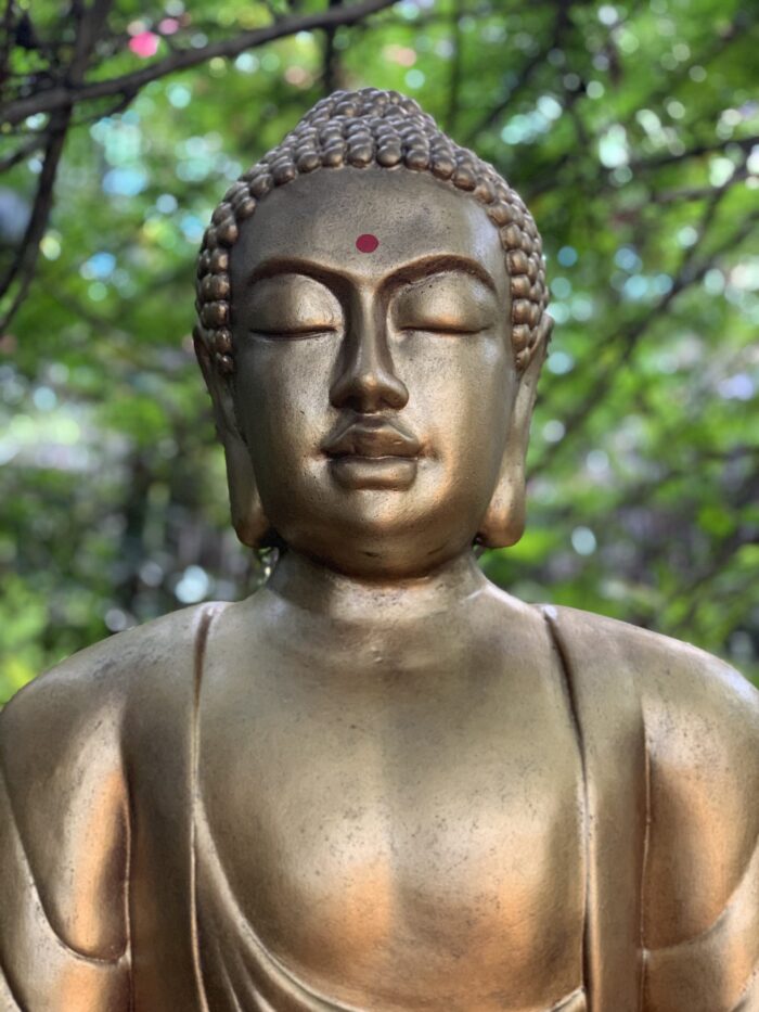 Yoga w/Mandy, Haines, Alaska ~ 6/22/20~ Live from the Garden~ Breathe in Calm, Breathe out Relaxation