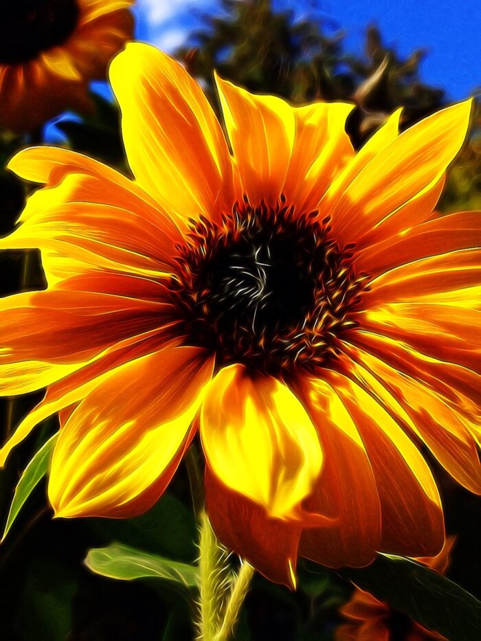 Yoga w/Mandy, Haines, Alaska ~ 6/26/20~ Wring it Out, Radiate from your Center