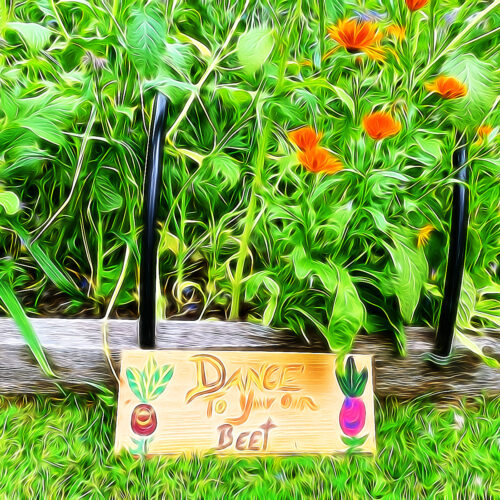Yoga w/Mandy, Haines, Alaska, Live from the Garden ~ 7/20/20~ Fluid Body Water Moon