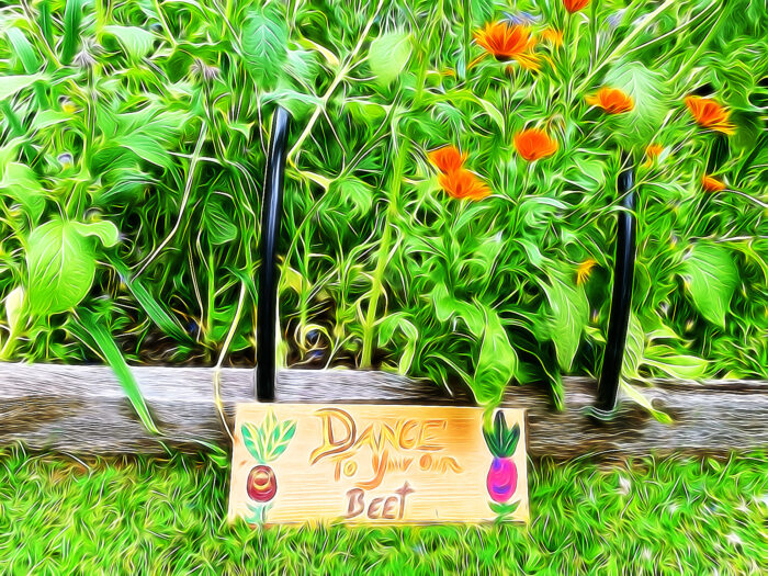 Yoga w/Mandy, Haines, Alaska, Live from the Garden ~ 7/20/20~ Fluid Body Water Moon