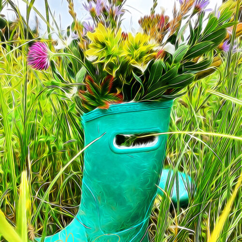 Yoga w/Mandy, Haines, Alaska, Live from the Front Porch ~ 8/20/20~ What's Your Inner Weather?