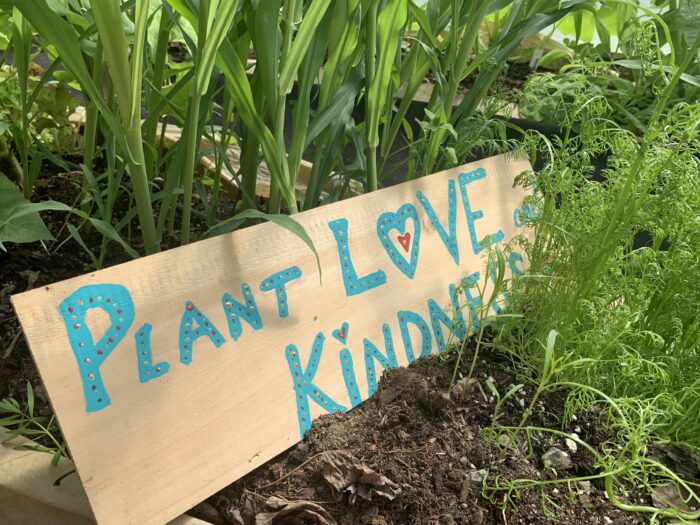 Yoga w/Mandy, Haines, Alaska, Live from the Garden ~ 8/7/20~ Flowing Practice as Refuge