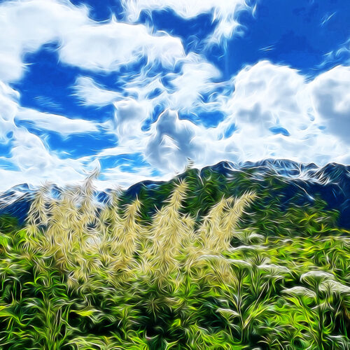 Yoga w/Mandy, Haines, Alaska ~ 8/23/20~ Clear the Path