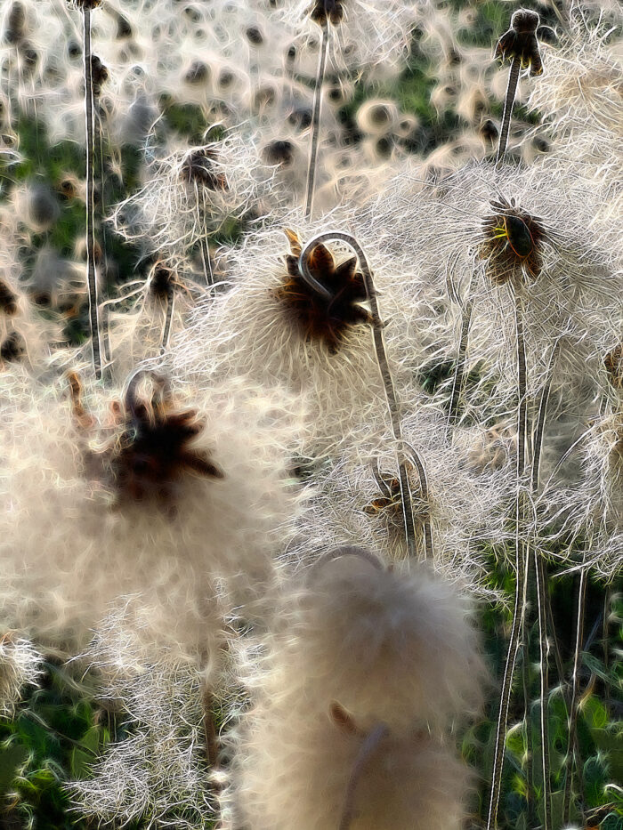 Yoga w/Mandy, Haines, Alaska ~ 8/31/20~ Winds of Change, Wind of Your Breath