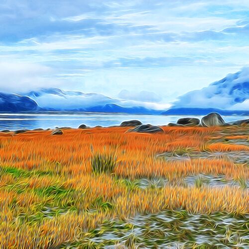 Yoga w/Mandy, Haines, Alaska ~ 9/7/20~ Season of Change