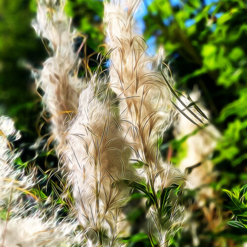 Yoga w/Mandy, Haines, Alaska ~ 9/28/20~ Winds of Change