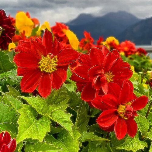 Yoga w/Mandy, Haines, Alaska ~ 11/27/20~ Sangha