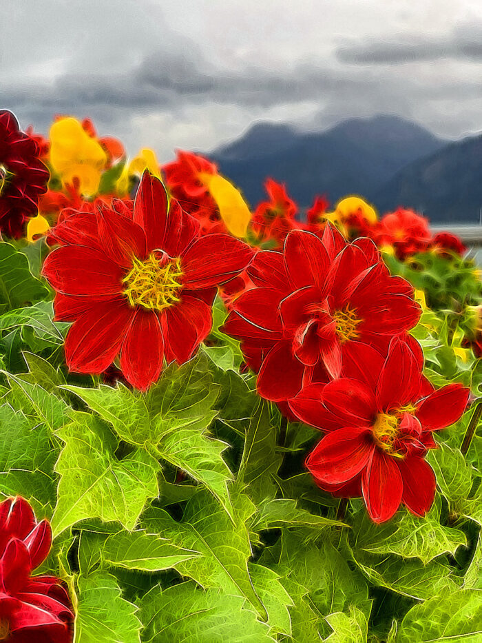 Yoga w/Mandy, Haines, Alaska ~ 11/27/20~ Sangha