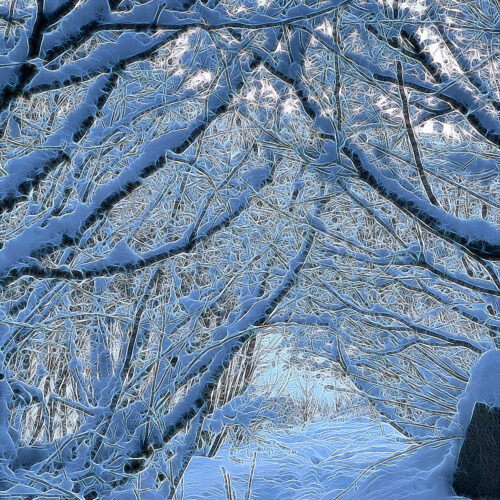 Yoga w/Mandy, Haines, Alaska ~ 11/30/20~ November Moon