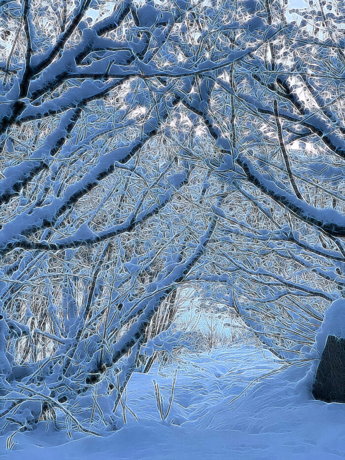 Yoga w/Mandy, Haines, Alaska ~ 11/30/20~ November Moon