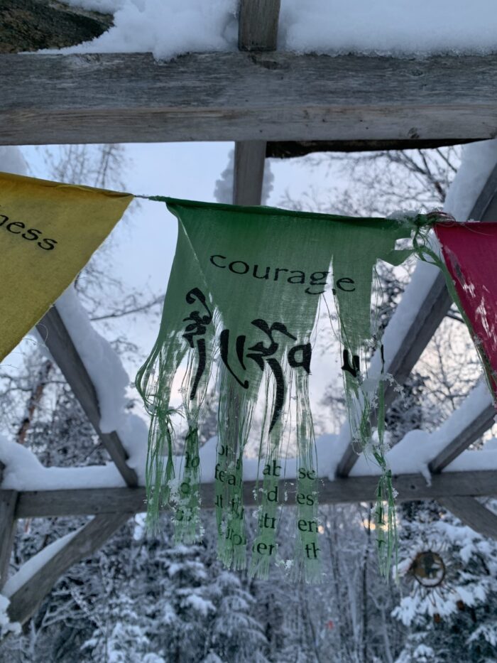 Yoga w/Mandy, Haines, Alaska ~ 12/07/20 - FREE CLASS COURAGE