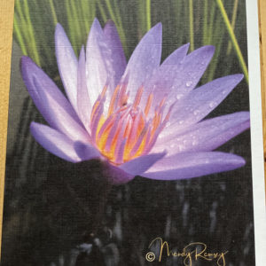 Lotus Love~ Blank Card~SOLD OUT