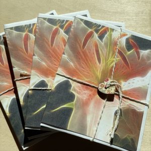 Blank Card~Apricot Stargazer Lily