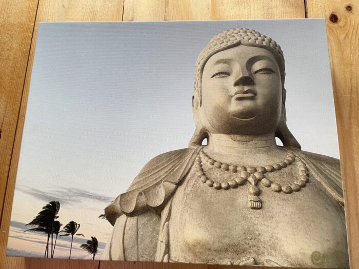 Big Sky Buddha~Canvas Print