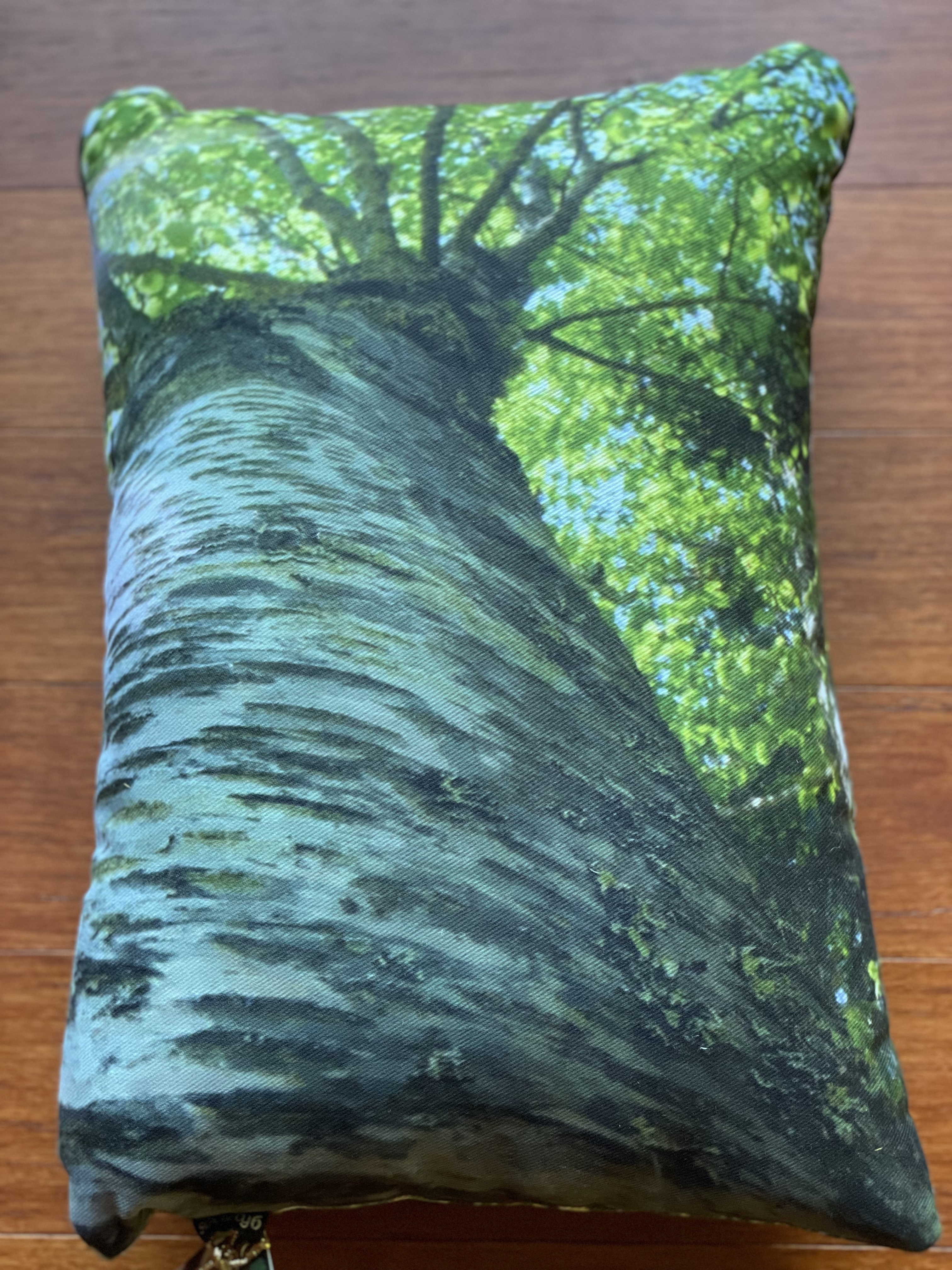 Pillow~ Birch Tree~ Rectangular