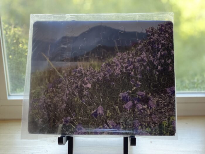 Puzzle~Chilkat Bluebells~SOLD OUT