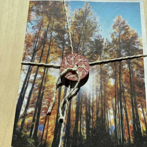 Blank Card ~ Fall Light