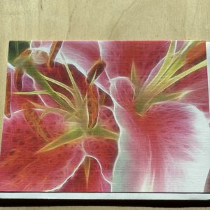 Blank Card~ Magenta Stargazer Lily~SOLD OUT