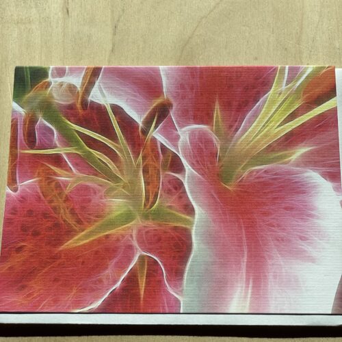 Blank Card~ Magenta Stargazer Lily~SOLD OUT