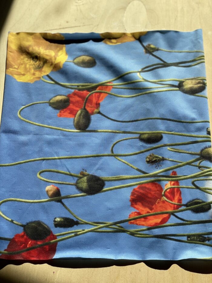 Neck Gator~ Poppies with Blue Sky