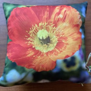 Pillow~Poppy~SOLD OUT