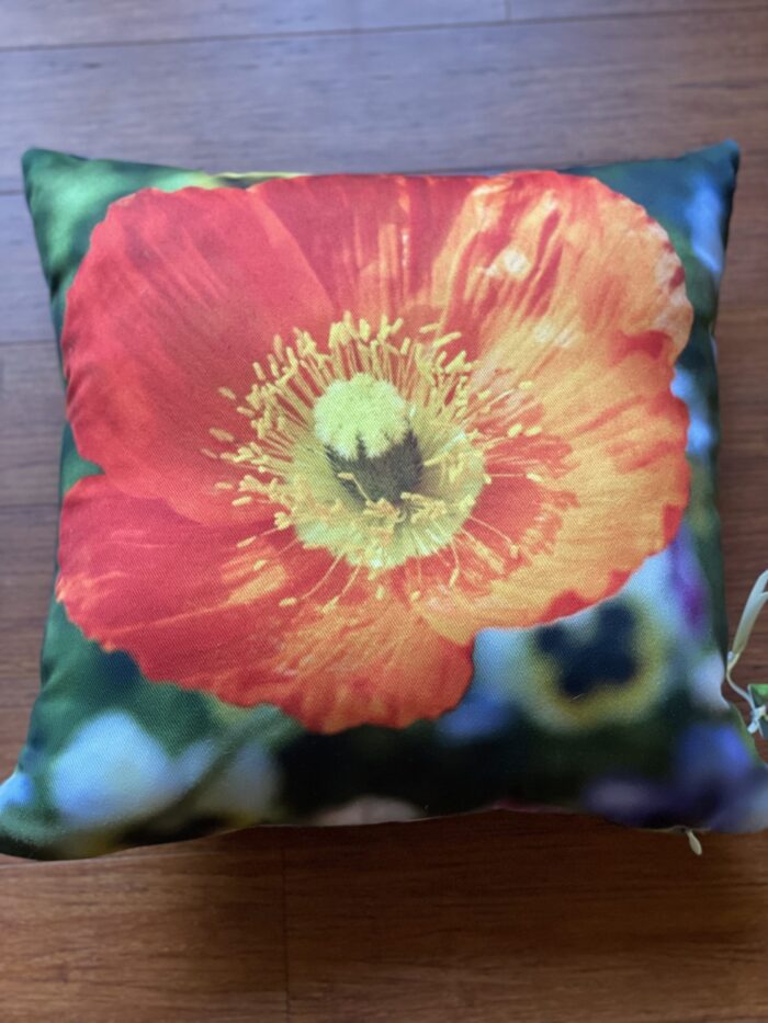 Pillow~Poppy~SOLD OUT