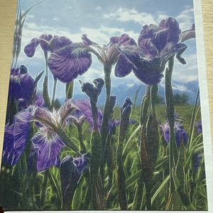 Blank Card~ Wild Iris~SOLD OUT