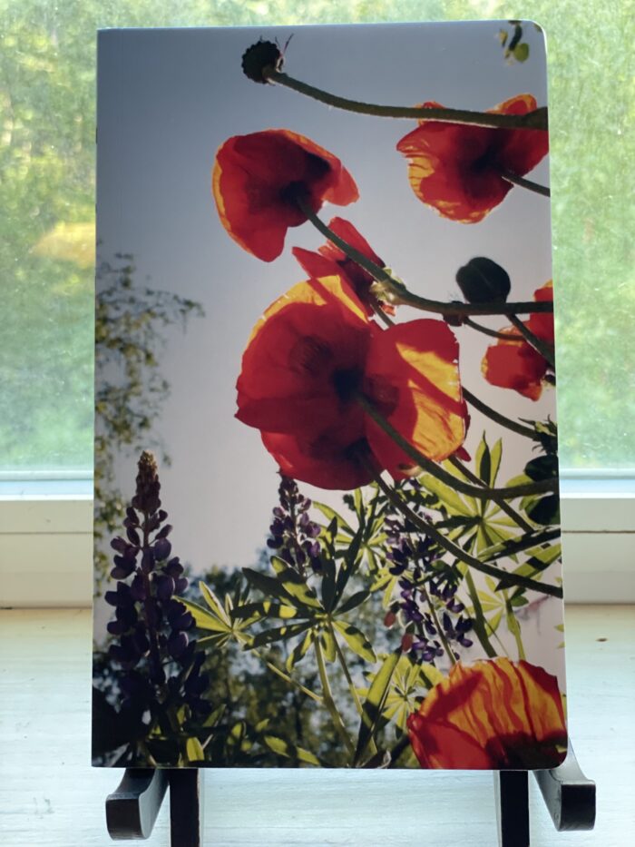 Illuminated Poppies Journal~ small, blank~SOLD OUT