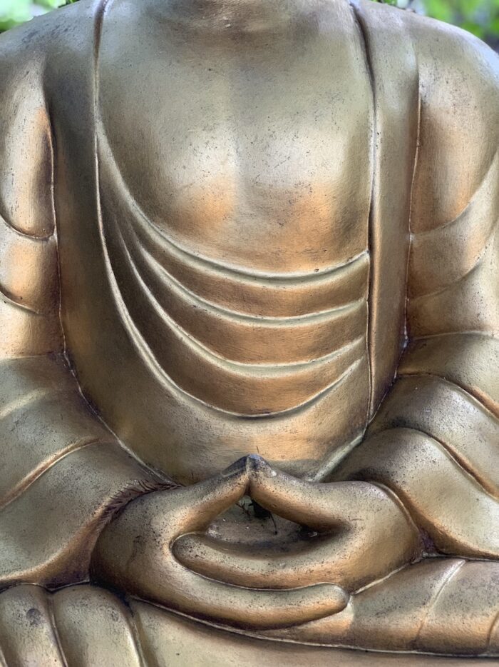 Yoga w/Mandy, Haines, Alaska ~8/2/21~ Embody the Pause