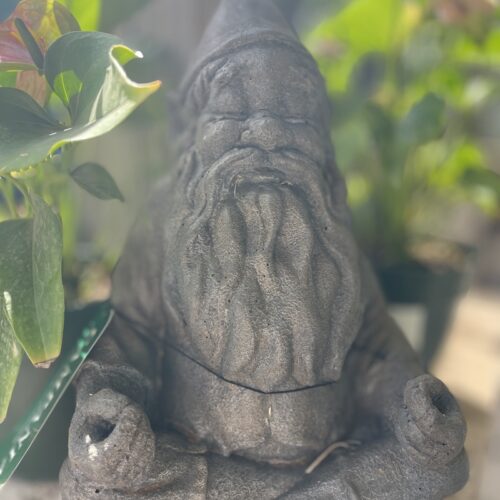 Yoga w/Mandy, Haines, Alaska ~7/16/21~ Inner Wisdom