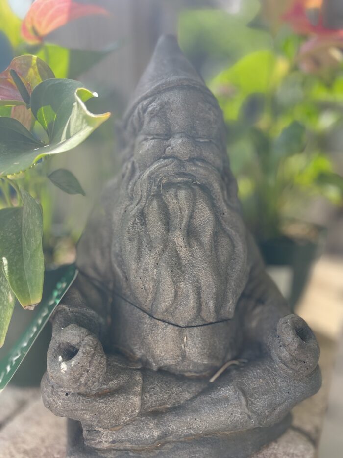 Yoga w/Mandy, Haines, Alaska ~7/16/21~ Inner Wisdom