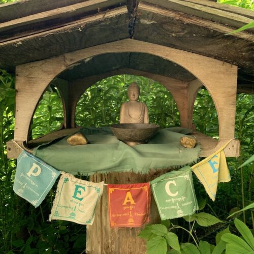 Yoga w/Mandy, Haines, Alaska ~7/26/21~ Shanti (Peace)